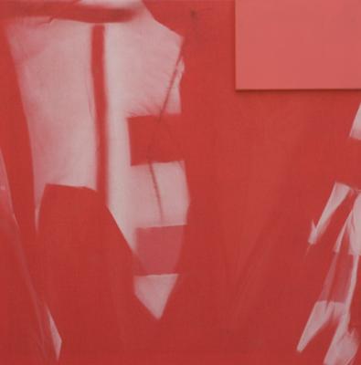 Polgár Csaba: Múltja jelen, fénynyomat